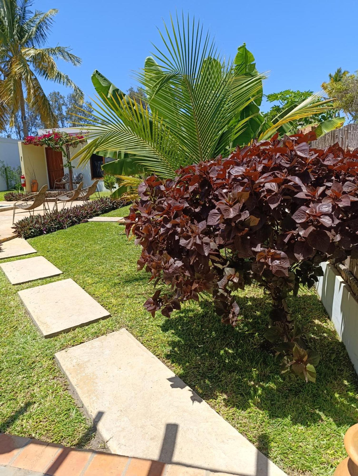 Telvina Beach Lodge Vilanculos Kültér fotó